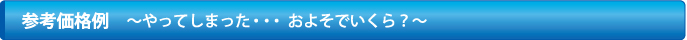 参考価格例 ～やってしまった・・・およそでいくら？